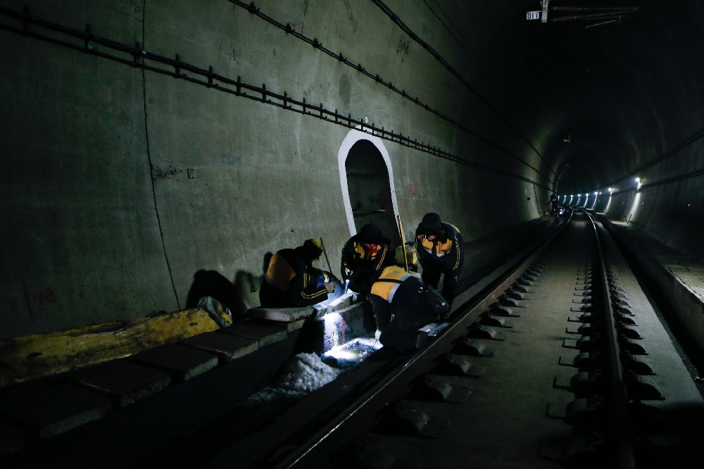 彬村山华侨农场铁路运营隧道病害现状